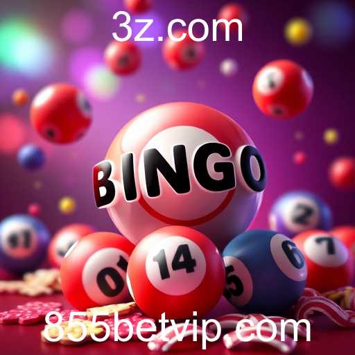 Guia Completo sobre Jogos de Bingo: Descubra o Mundo de 855bet